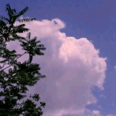 梦幻附魔手游下载