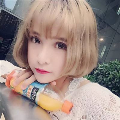 coachbussimulator破解版游戏下载
